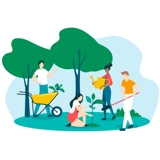 Four people with gardening tools care for two trees