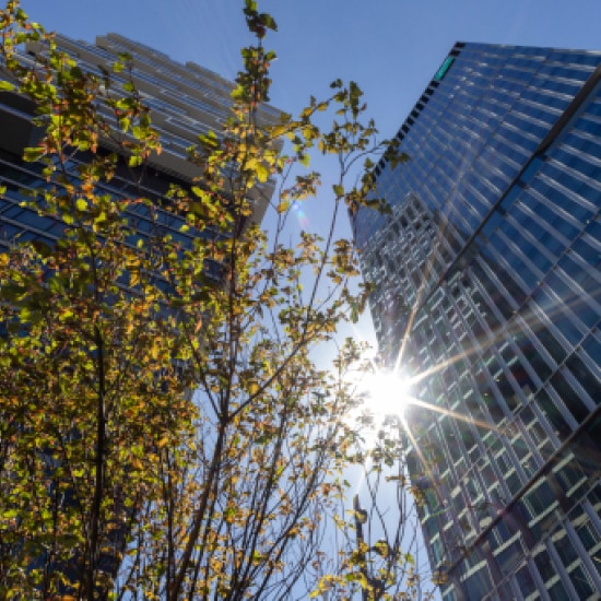 Foto des Gebäudes von BNP Paribas in Frankfurt