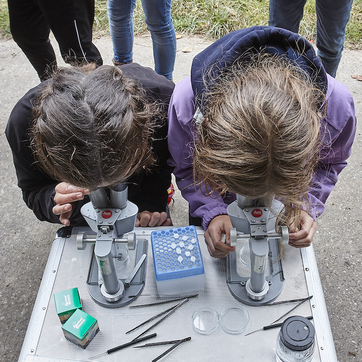 Photograph of two participants looking into a microscope