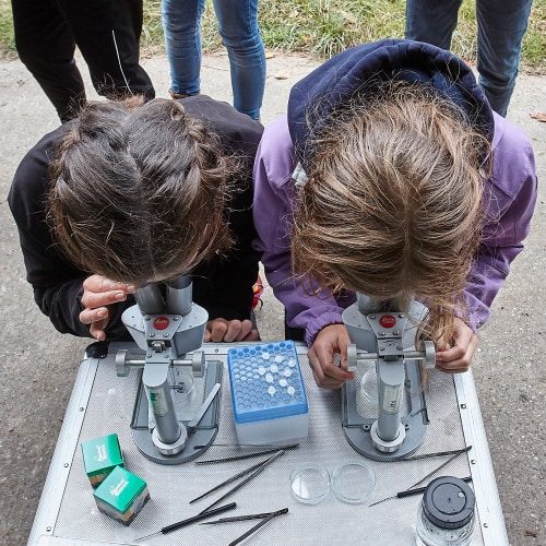 Foto von zwei Teilnehmenden, die in ein Mikroskop schauen