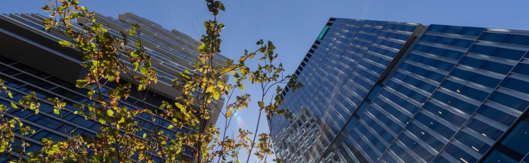 View of the BNP Paribas building in Frankfurt